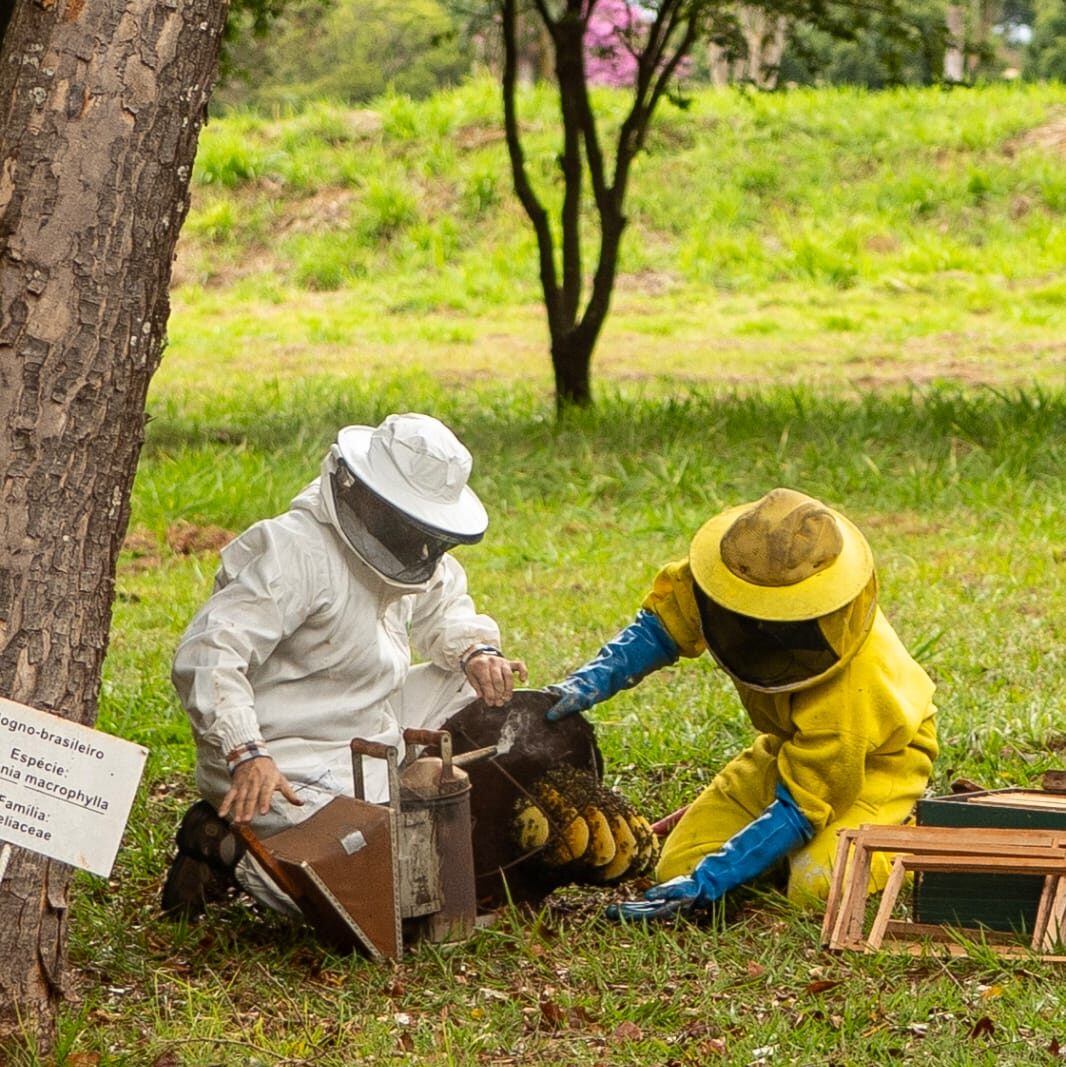 WhatsApp Image 2025-12-08 at 18.05.23 (1)