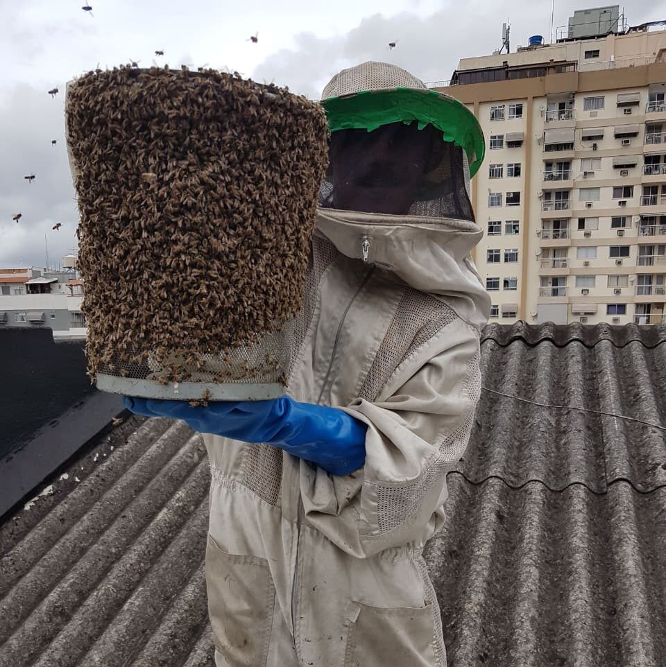 WhatsApp Image 2025-12-09 at 15.16.29 (3)