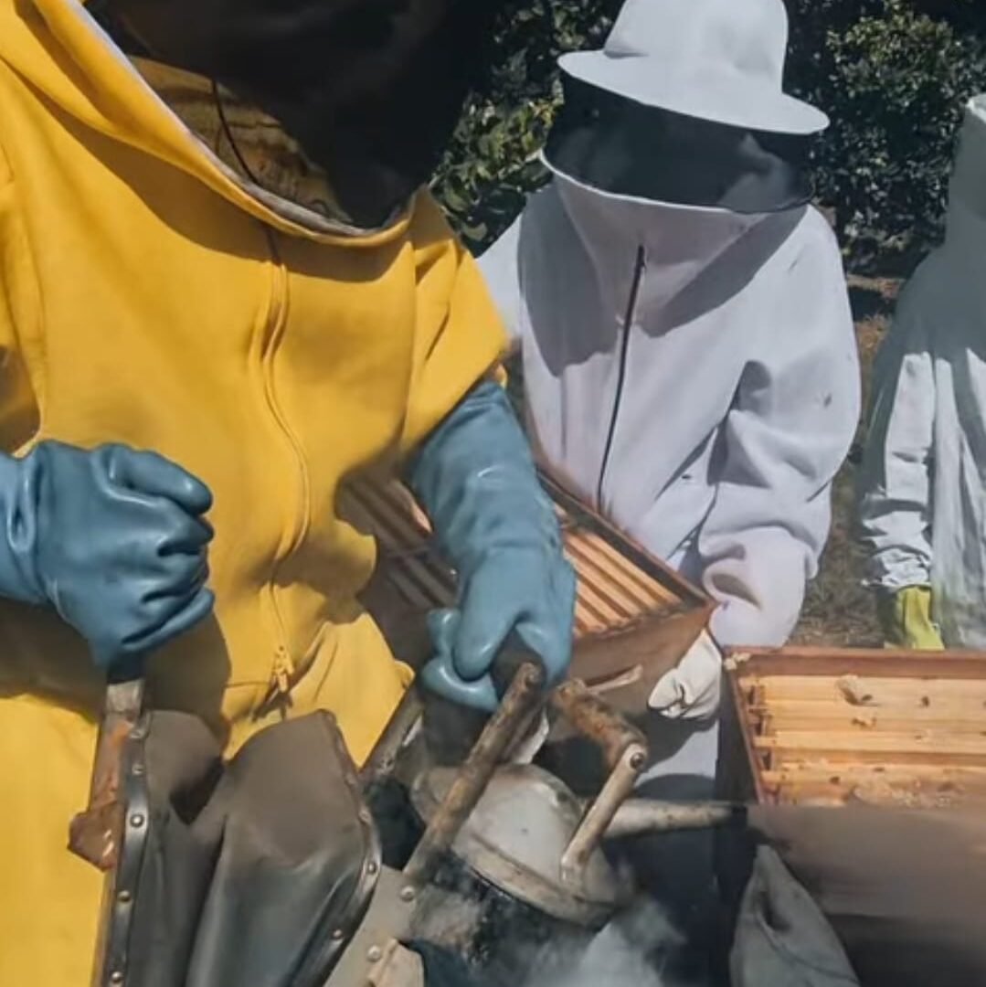 WhatsApp Image 2025-12-10 at 15.42.49