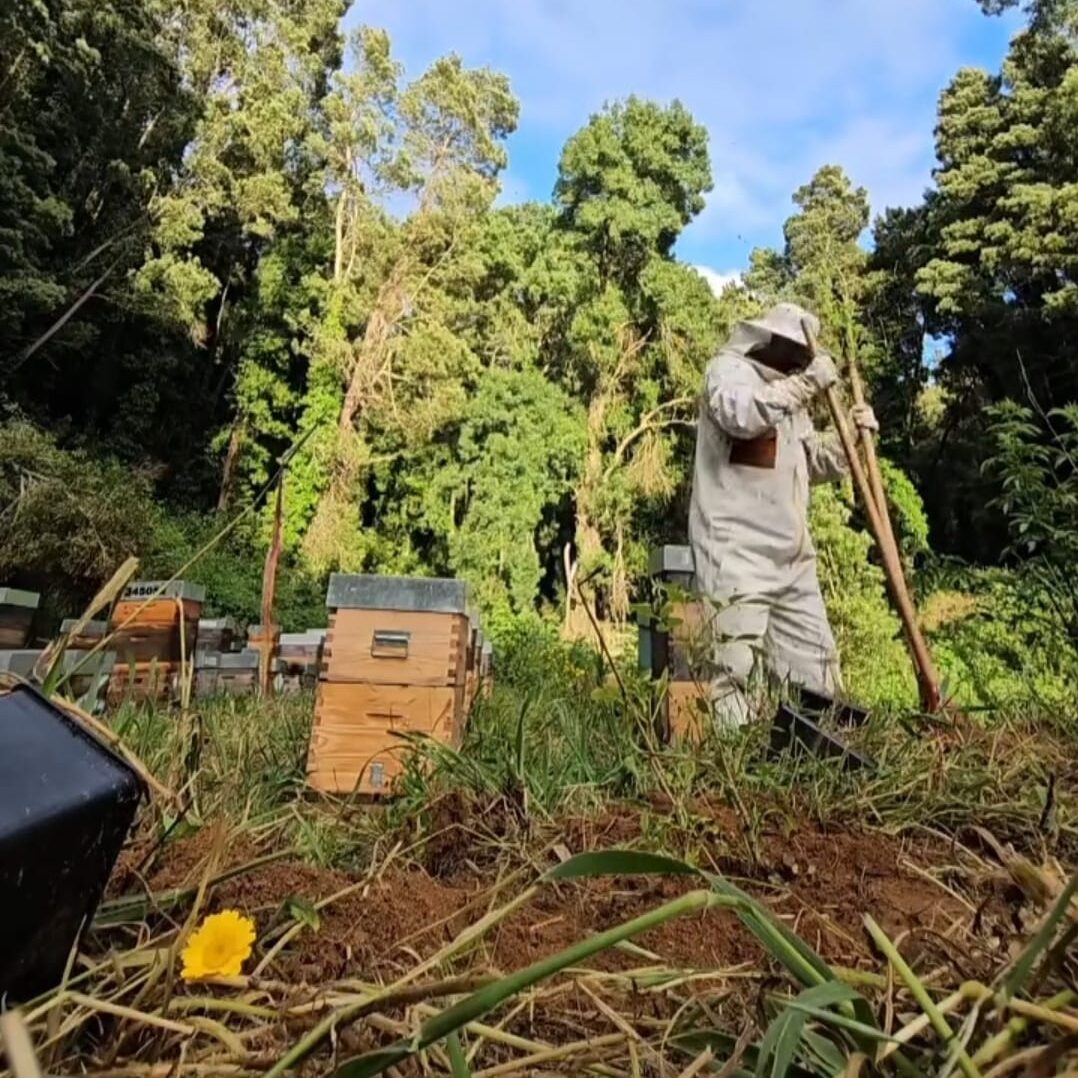 WhatsApp Image 2025-12-10 at 15.42.50 (1)