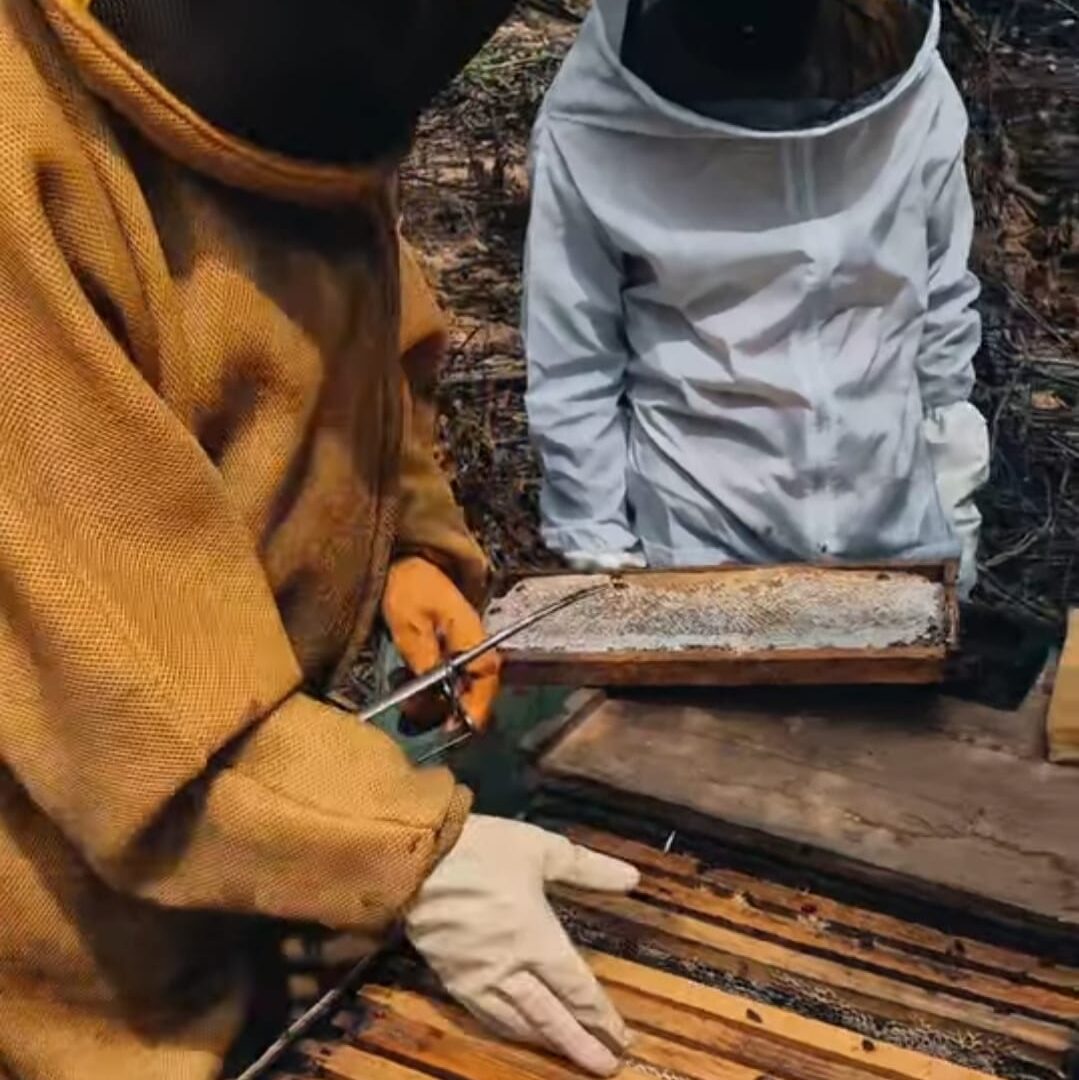 WhatsApp Image 2025-12-10 at 15.42.50 (3)