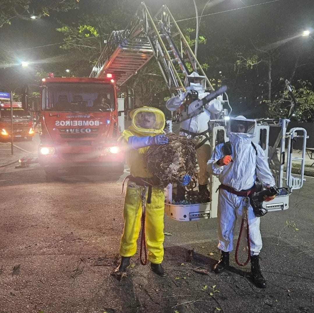 WhatsApp Image 2025-12-10 at 15.42.50